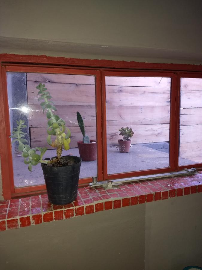 דירות פורטו פיראמידס El Tamarisco מראה חיצוני תמונה