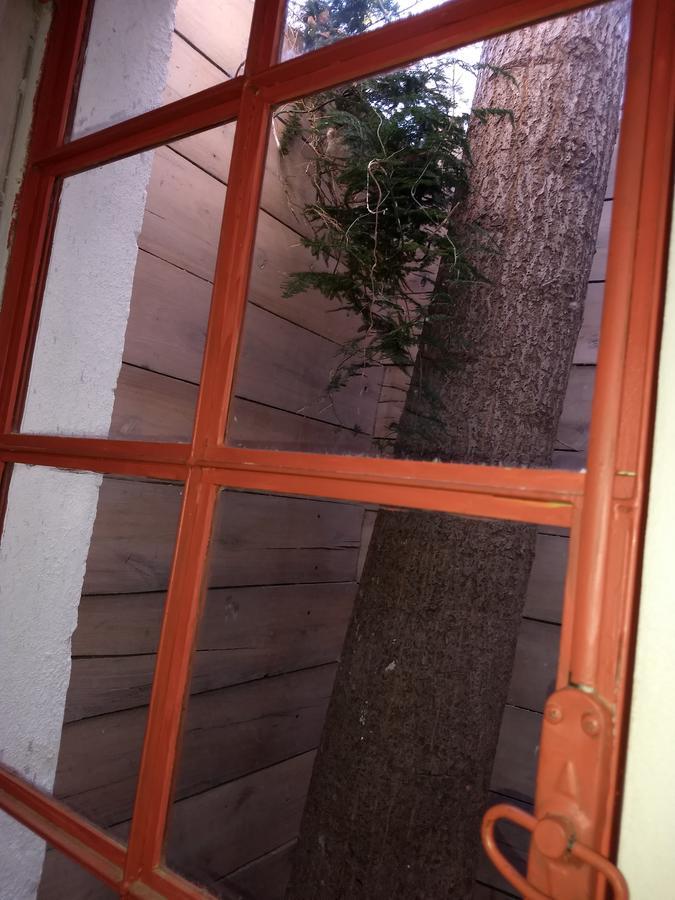 דירות פורטו פיראמידס El Tamarisco מראה חיצוני תמונה